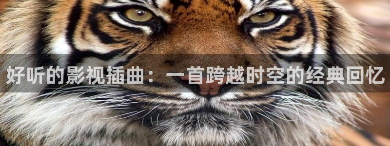桔子视频网：好听的影视插曲：一首跨越时空的经典回忆