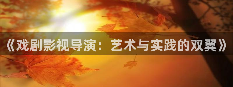 桔子视频电视剧免费观看：《戏剧影视导演：艺术与实践的双翼》