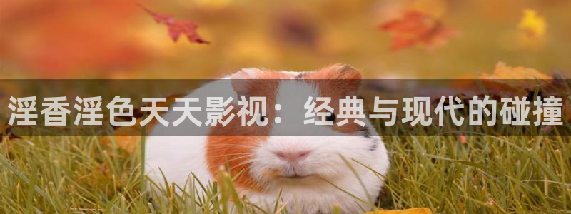 桔子橘子