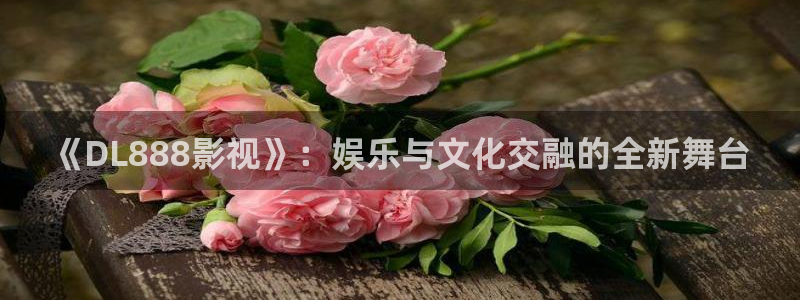 桔子在线视频：《DL888影视》：娱乐与文化交融的全新舞台