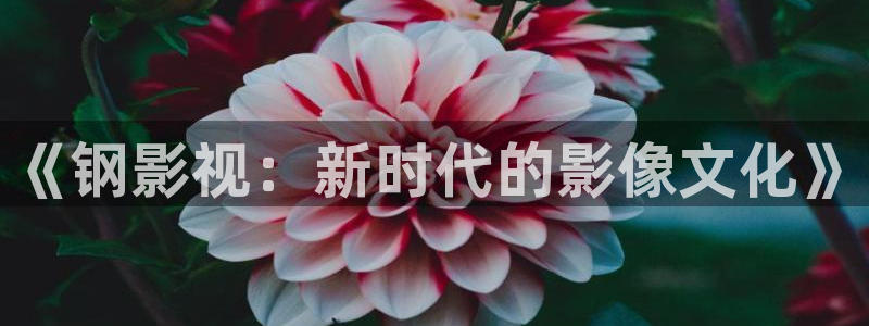 桔子私人电影：《钢影视：新时代的影像文化》