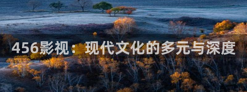 桔子精品视频：456影视：现代文化的多元与深度