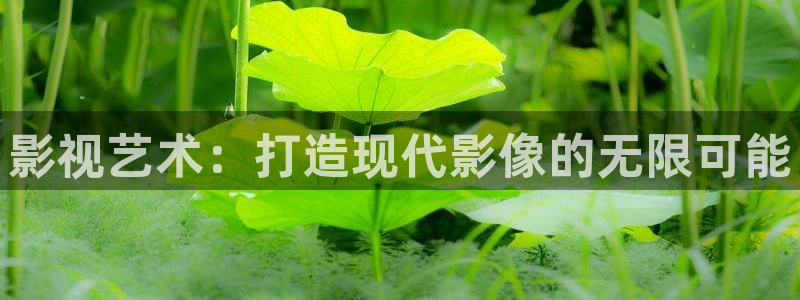 tv桔子